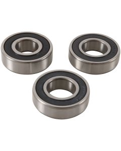 Pivot Works Rear Wheel Bearing Kit PWRWK-T14-000