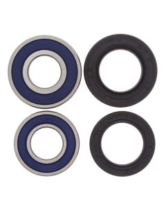 All Balls Racing Rear Wheel Bearing Kit 25-1113