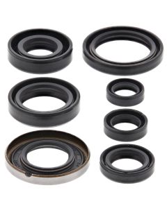Vertex Oil Seal Kit 822161