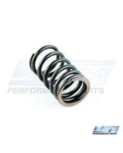 WSM Valve Spring Outer - 010-030