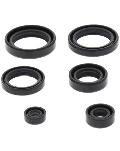 Vertex Oil Seal Kit 822310