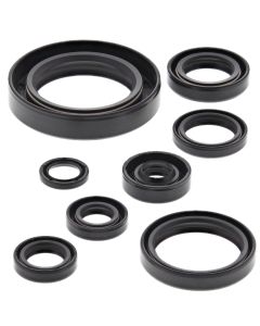 Vertex Oil Seal Kit 822110