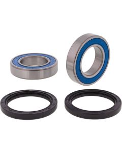 All Balls Racing Rear Wheel Bearing Kit 25-1832