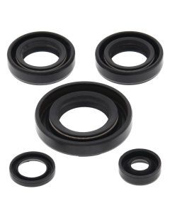 Vertex Oil Seal Kit 822230