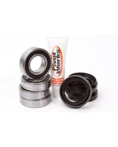 Pworks PWFWK-H51-000 Pivot Works Front Wheel Bearing Kit Honda Atv Honda FL 400