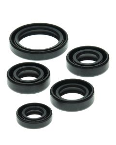 Vertex Oil Seal Kit 822138