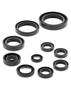 Vertex Oil Seal Kit 822270