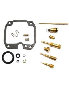 Bronco Carburetor Repair Kit AU-07209