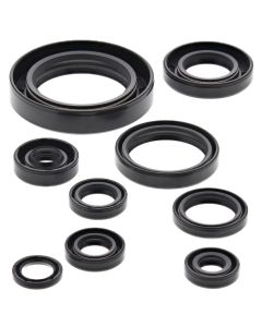 Vertex Oil Seal Kit 822177