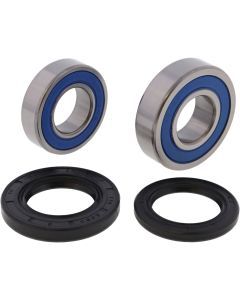 All Balls Racing Rear Wheel Bearing Kit 25-1252