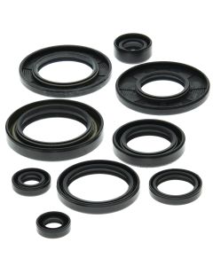 Vertex Oil Seal Kit 822148