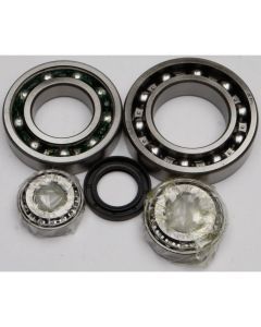 All Balls Rear Differential Bearing And Seal Kit 25-2038