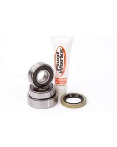 Pivot Works - PWRWK-Y42-000 - Wheel Bearing Kit
