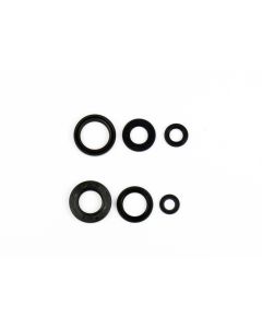 Athena Engine Oil Seal Kit P400485400047