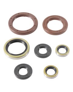 Vertex Oil Seal Kit 822372