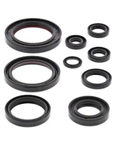 Vertex Oil Seal Kit 822352