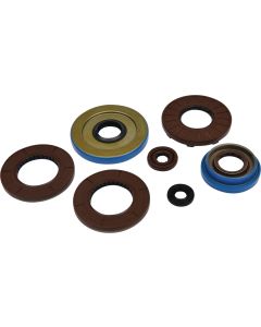 Vertex Oil Seal Kit 822375