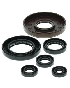 Vertex Oil Seal Kit 822209