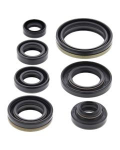 Vertex Oil Seal Kit 822176