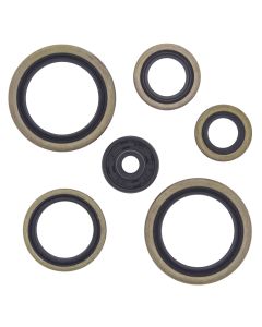 Vertex Oil Seal Kit 822187
