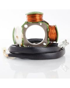 Ricks Hot Shot Series Stator 21-820H