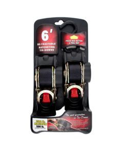 ERICKSON RETRACTABLE RATCHETING TIE DOWN STRAPS - 1 X 6FT