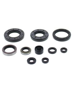 Vertex Oil Seal Kit 822275
