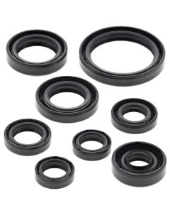 Vertex Oil Seal Kit 822228