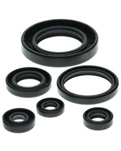 Vertex Oil Seal Kit 822204