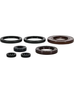 Vertex Oil Seal Kit 822401