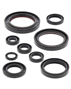 Vertex Oil Seal Kit 822315