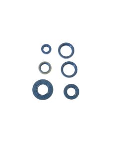 Athena Engine Oil Seal Kit P400090400240