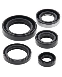 Vertex Oil Seal Kit 822245
