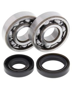 All Balls Racing Crank Shaft Bearing Kit 24-1008