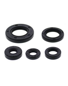 Vertex Oil Seal Kit 822990
