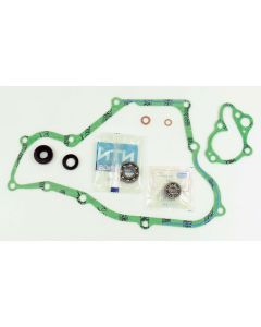 Athena Water Pump Rebuild Kit P400210475001