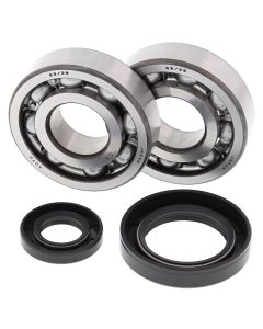 All Balls Racing Crank Shaft Bearing Kit 24-1030