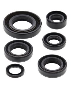 Vertex Oil Seal Kit 822224