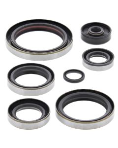 Vertex Oil Seal Kit 822190