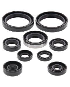 Vertex Oil Seal Kit 822316
