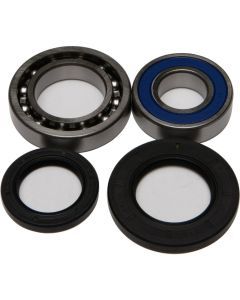 NEW ALL BALLS WHEEL BEARING AND SEAL KIT 25-1014