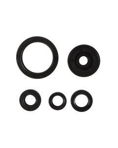 Vertex Oil Seal Kit 822377