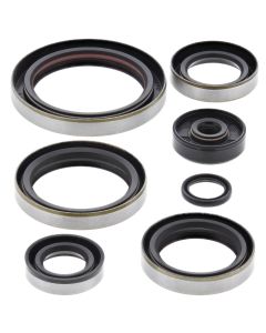 Vertex Oil Seal Kit 822326