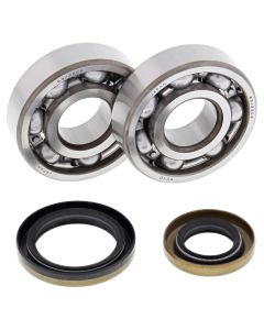 All Balls Racing Crank Shaft Bearing Kit 24-1110
