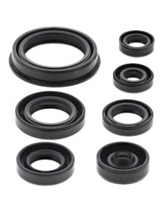 Vertex Oil Seal Kit 822690