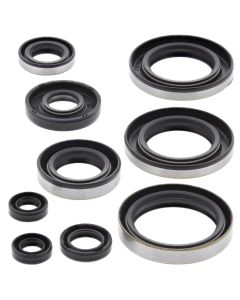Vertex Oil Seal Kit 822296