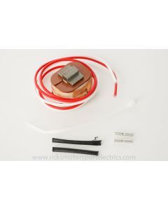 Ricks Source Coil 300 OHMS 21-500
