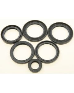 All Balls Rear Differential Seal Kit 25-2062-5