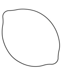 Vertex Outer Clutch Gasket Kit 817507