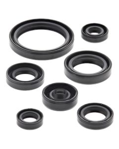 Vertex Oil Seal Kit 822692
